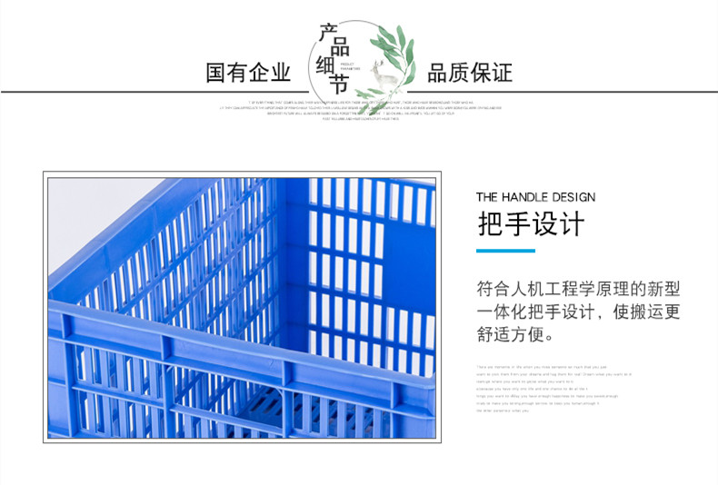 3號周轉(zhuǎn)蘿詳情 (2)